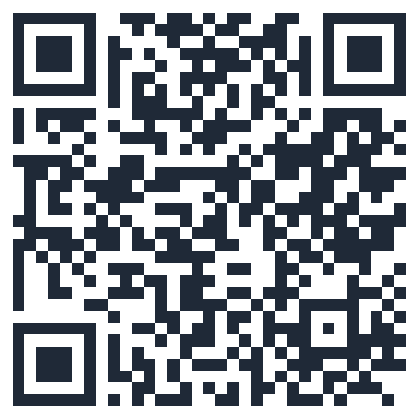 QR for vivid-otter-43